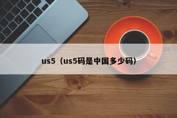 us5（us5码是中国多少码）